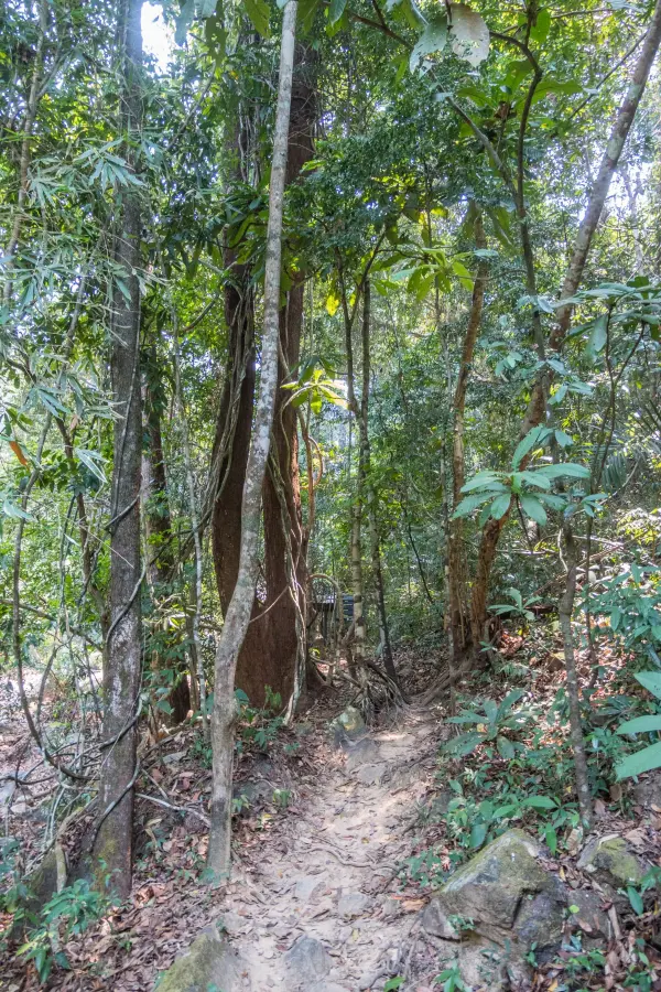 waterfall path than mayom ko chang - thailand