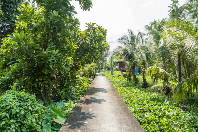 secondary road on ko kret island