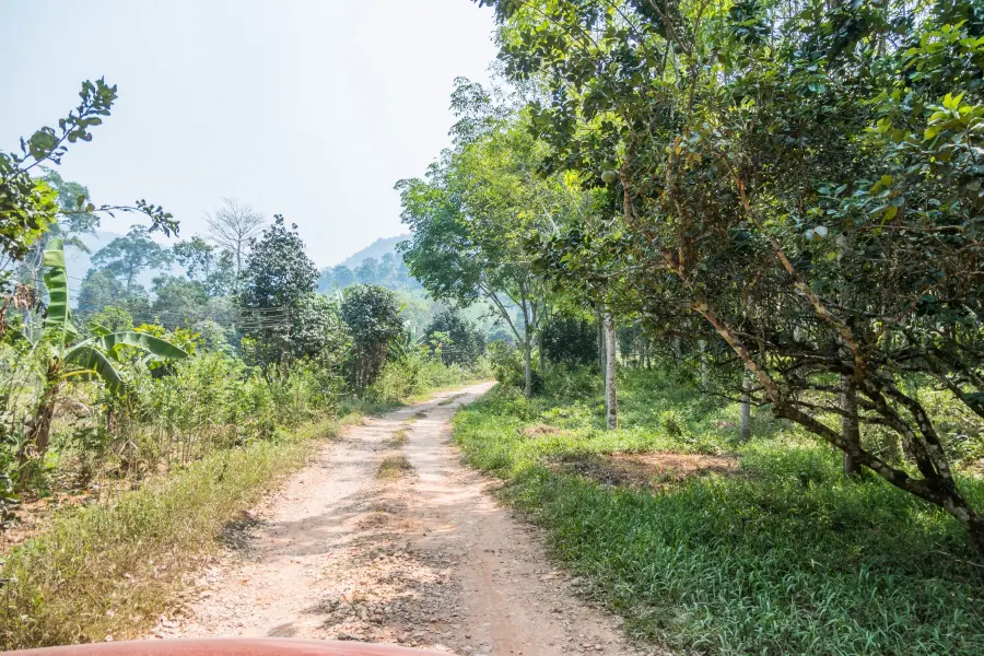 path to kai bae ko chang waterfall - thailand