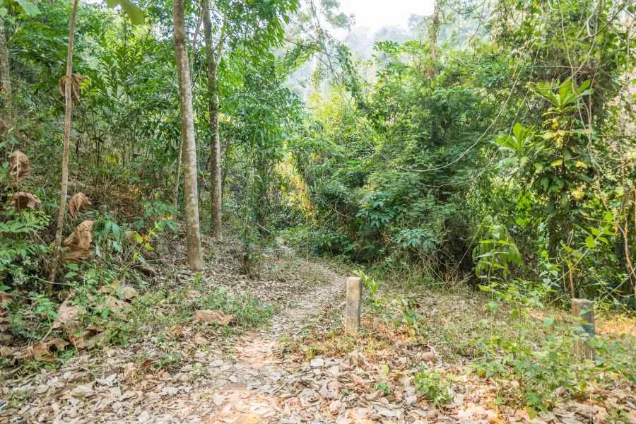 start path waterfall khlong neung ko chang - thailand