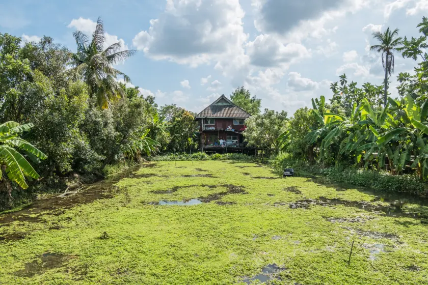 house surrounded by nature ko kret