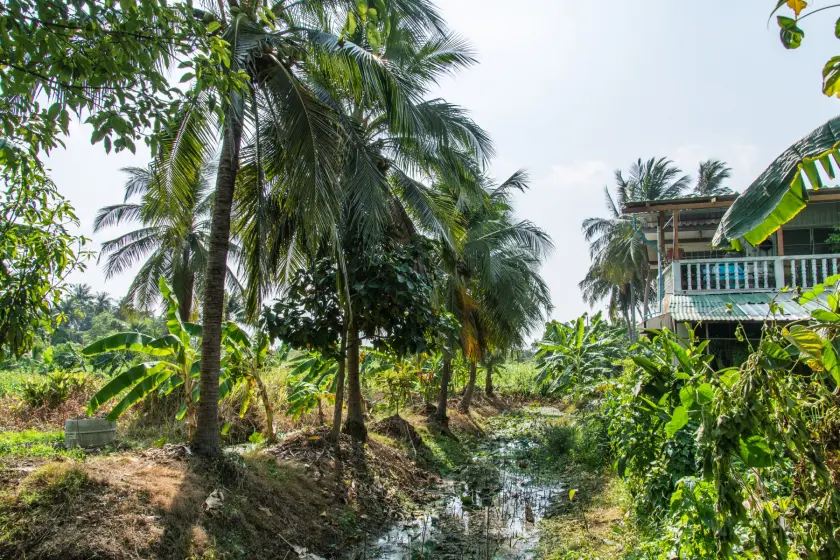 house surrounds nature ko kret nonthaburi
