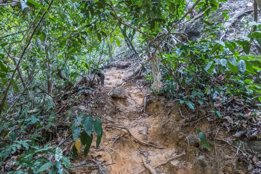 khlong nonsi waterfall climb ko chang - thailand