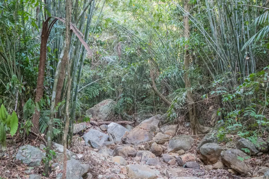 nature waterfall khlong chao lueam ko chang - thailand