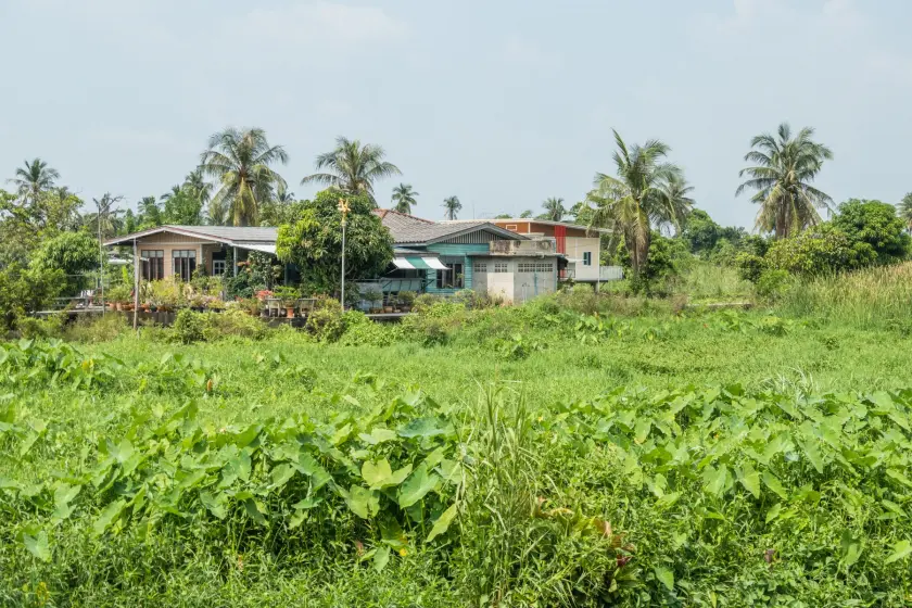 landscape on ko kret island