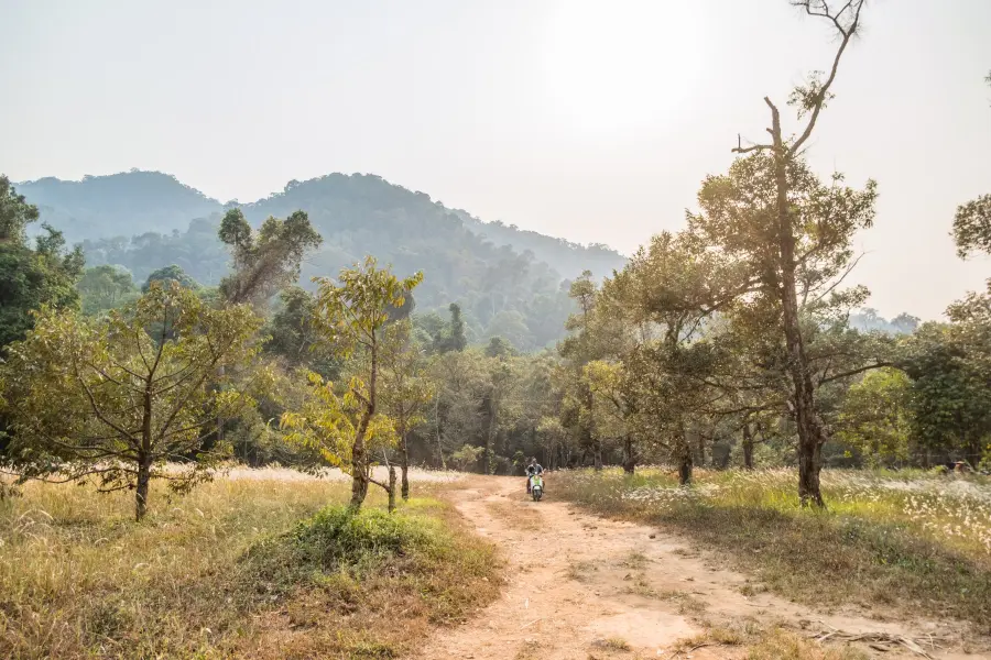 landscape valley khlong chao lueam ko chang - thailand