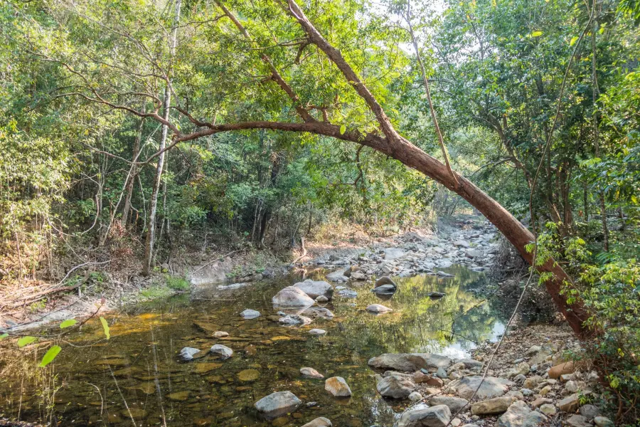 river leading to khlong phlu waterfall ko chang - thailand