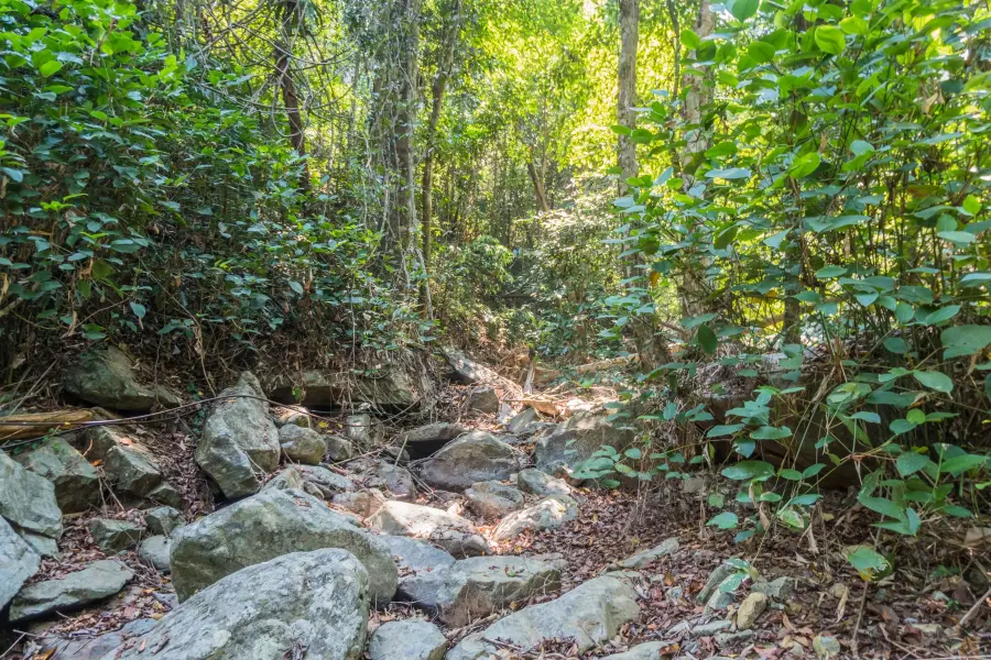 dry river waterfall kai bae ko chang - thailand