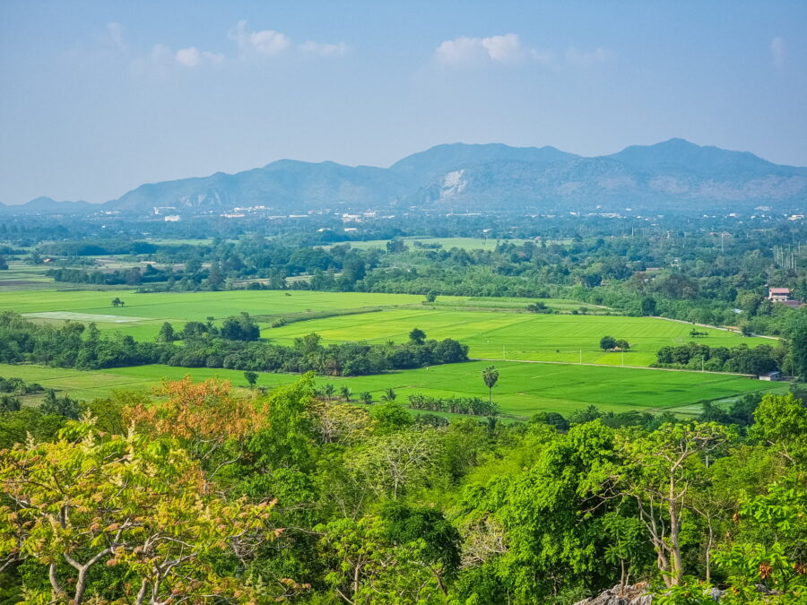 rizieres autour du wat tham khao pun kanchanaburi