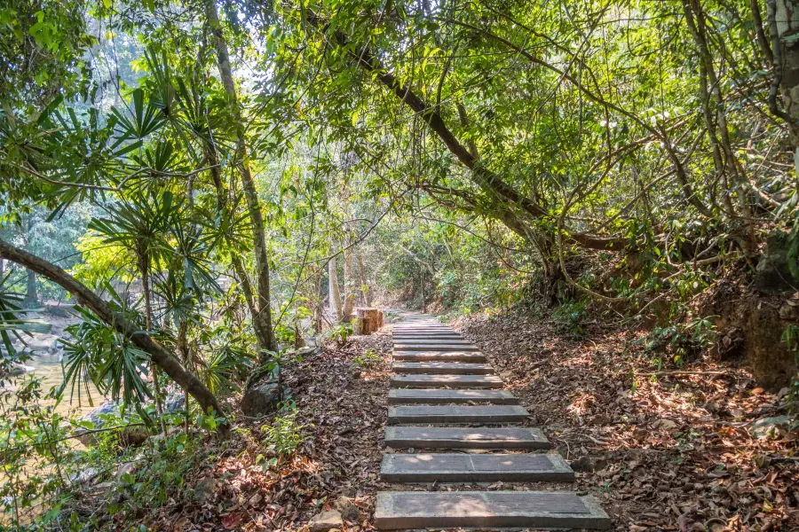 than mayom waterfall trail ko chang - thailand