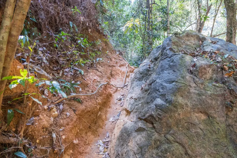 narrow path khlong nonsi waterfall ko chang - thailand