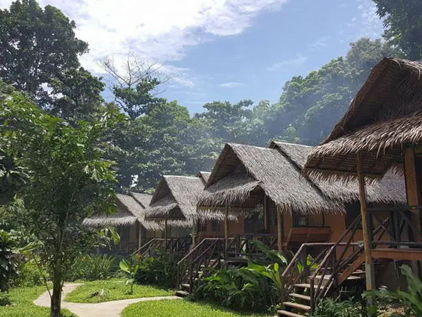 exterior bungalow jungle garden ko chang