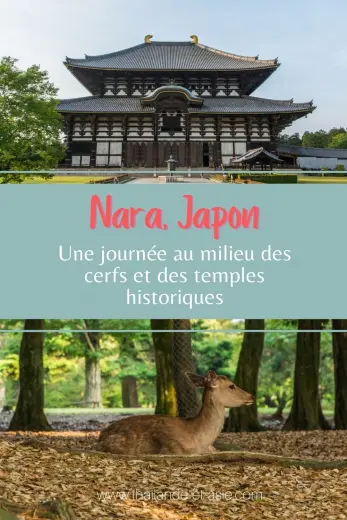 pinterest nara deer and historical temples pinterest nara deer and historical temples