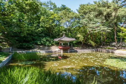 aeryeonji pool secret garden changdeokgung - seoul