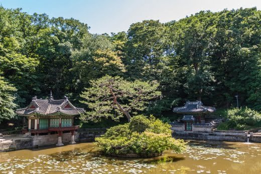 bassin buyongji jardin secret changdeokgung - seoul