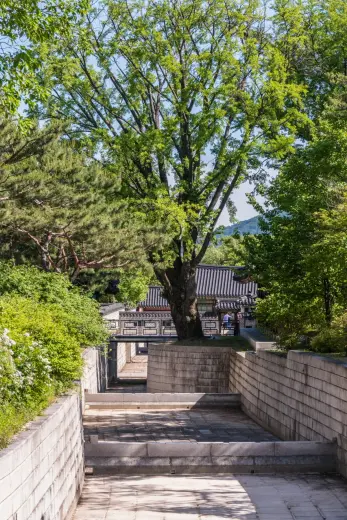 ongnyucheong canal changdeokgung palace - seoul