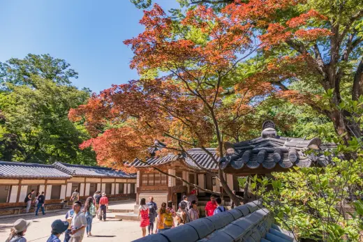 yeongyeongdang courtyard changdeokgung secret garden - seoul