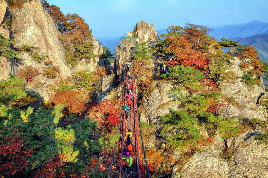 couleurs automne daedunsan provincial park - coree du sud