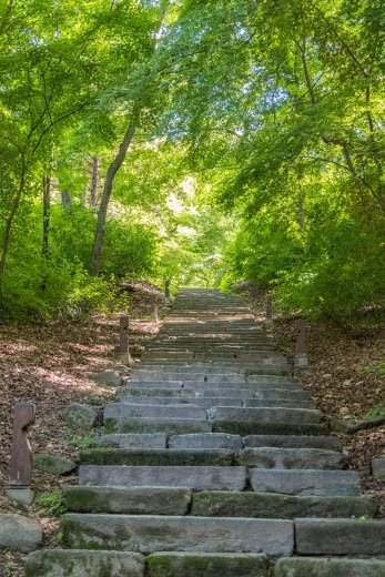 escalier jardin secret changdeokgung seoul