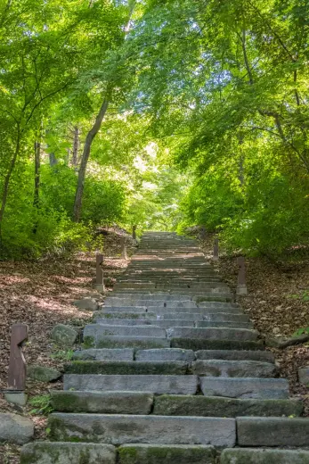 secret garden staircase changdeokgung seoul