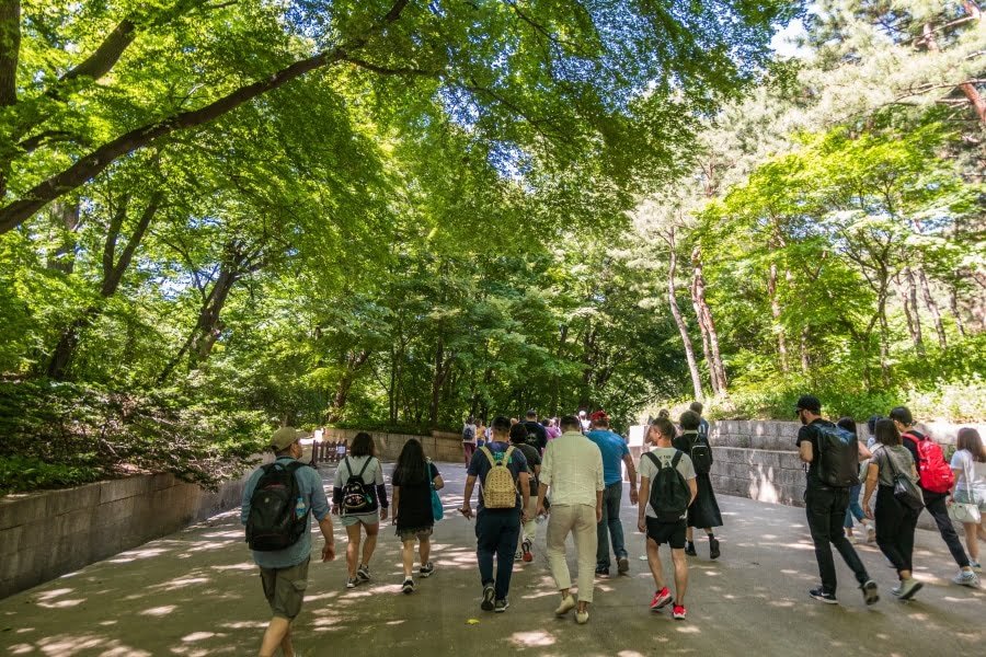 groupe visite guidee jardin secret changdeokgung - seoul