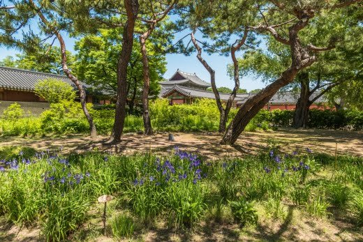 jardin entree palais changdeokgung seoul - coree du sud