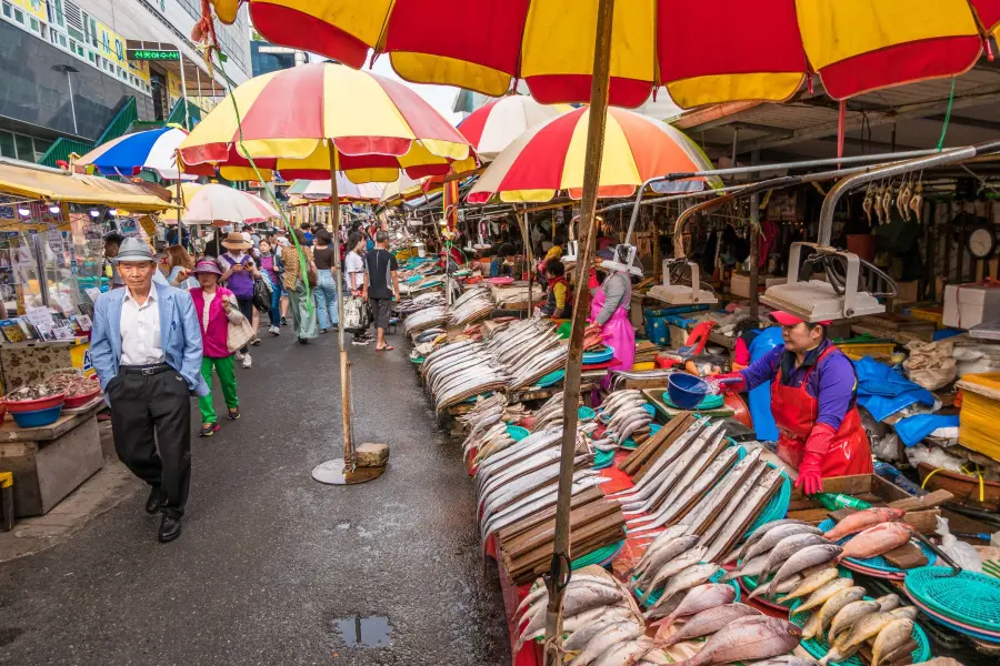 jagalchi fish market - busan - south korea