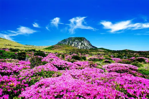mont hallasan jeju-do - coree du sud