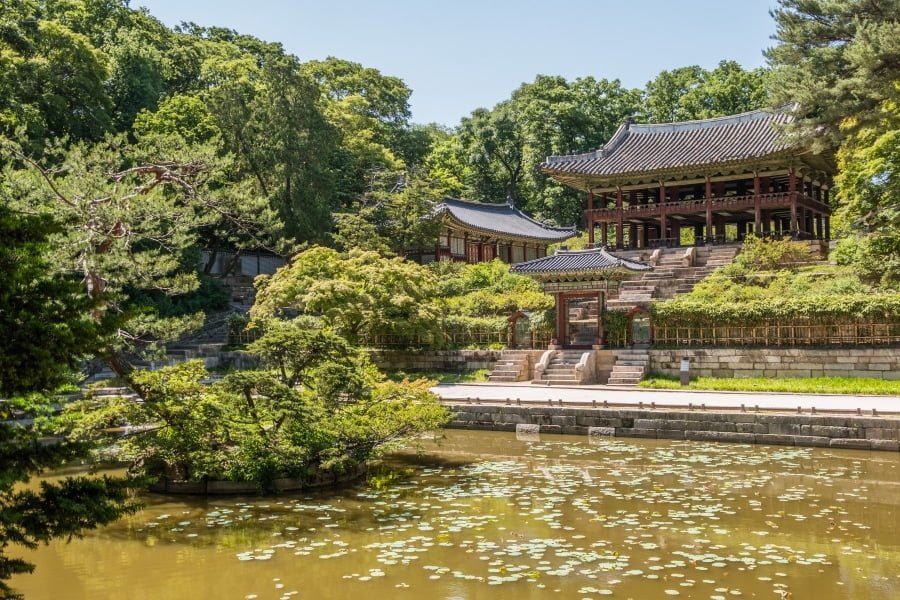 pavillon juhamnu jardin secret changdeokgung - seoul