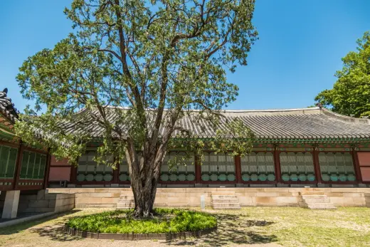 seonwonjeon hall - changdeokgung palace seoul