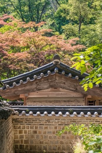 toit yeongyeongdang palais changdeokgung seoul