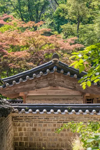 roof yeongyeongdang changdeokgung palace seoul