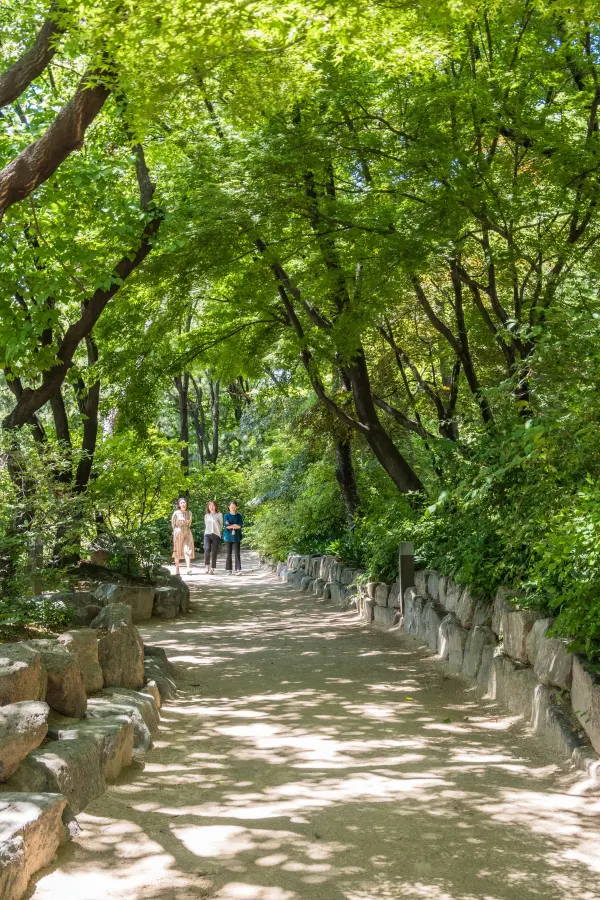 green alley deoksugung palace seoul