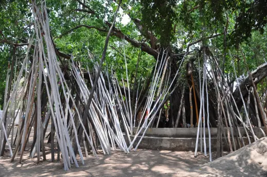 sacred sticks wat phra that lampang luang