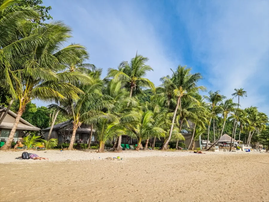 coconut trees lining white sand beach ko chang