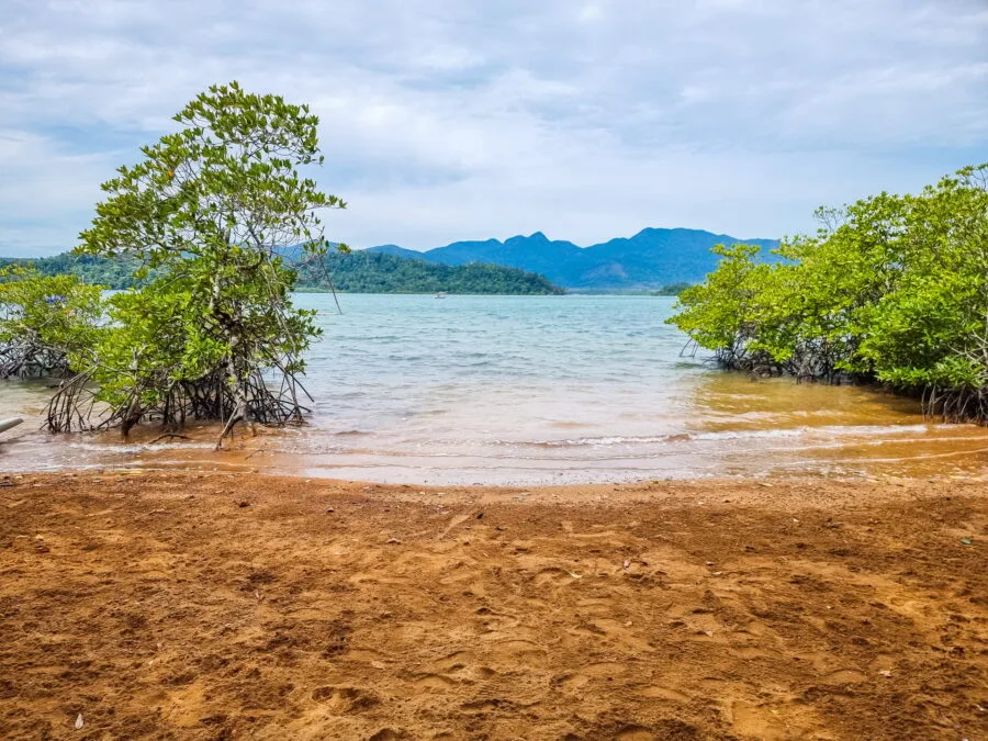 beach and mangrove check bae ko chang