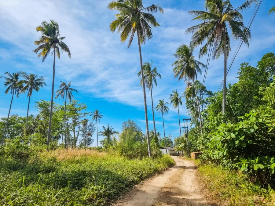 wild area klong prao ko chang