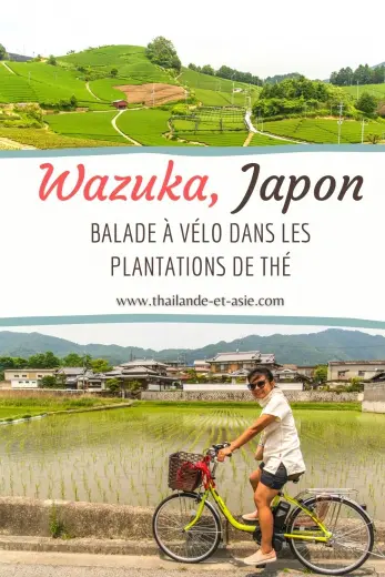pinterest bike ride plantations the wazuka japan