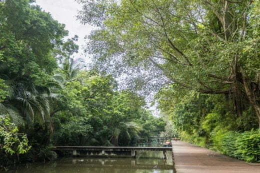 mahidol university channel - thailand