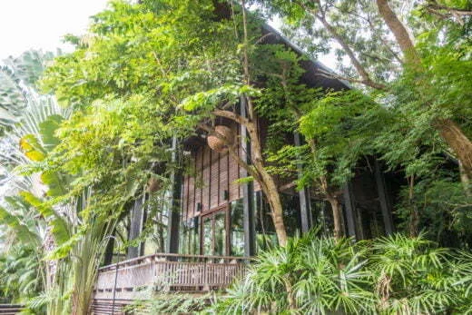 irene cafe mahidol university - thailand