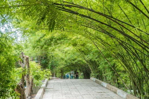 Wat Samphran garden - nakhon pathom