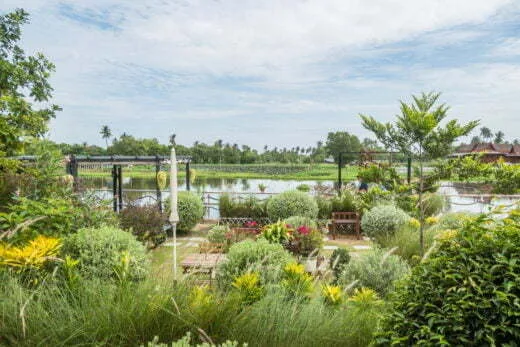 garden the scene river - nakhon pathom