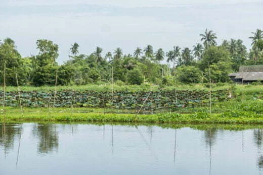 tha chin river the scene river - nakhon pathom