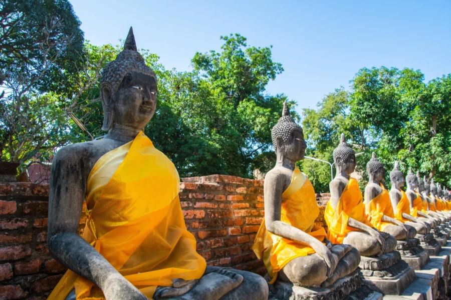 Buddha alignment wat yai chai mongkhon - ayutthaya