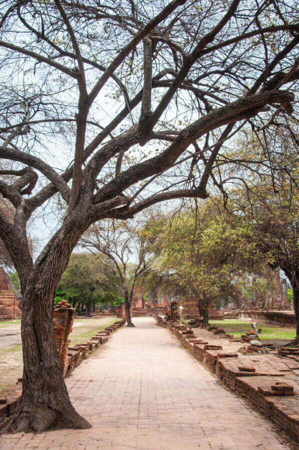 ancien cloitre wat phra si sanphet ayutthaya