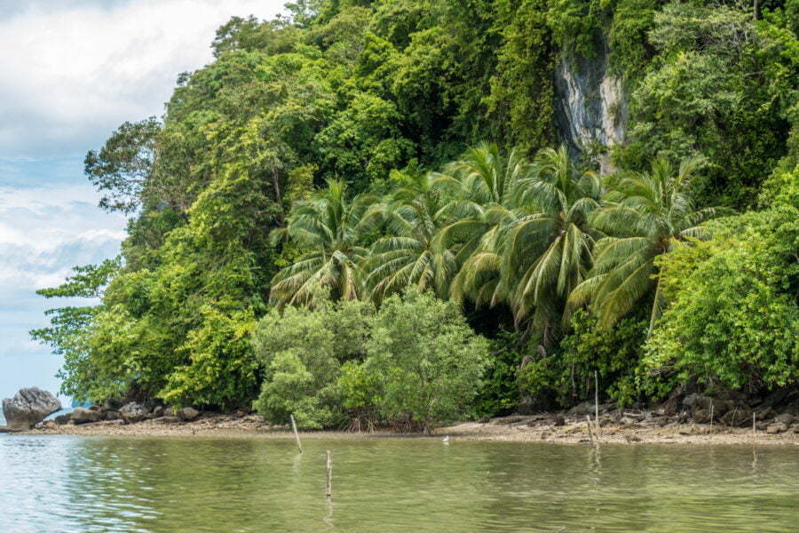 falaise plage sans nom district dan sawi thailande