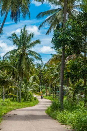 small road dan sawi district - chumphon province