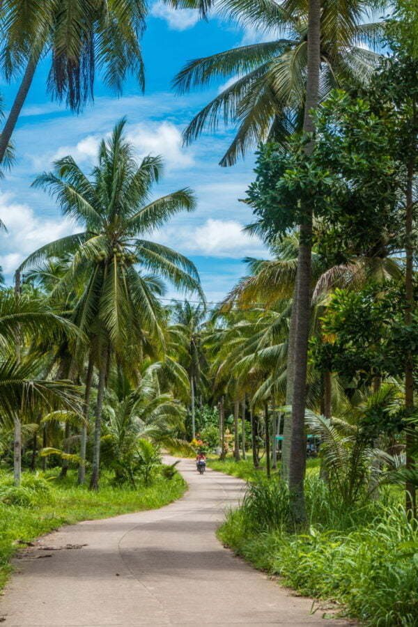 petite route district dan sawi - province chumphon