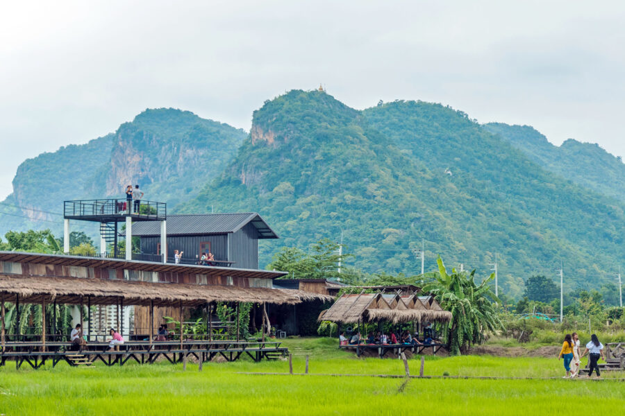 vue sur café et rizieres proche wat tham suea kanchanaburi