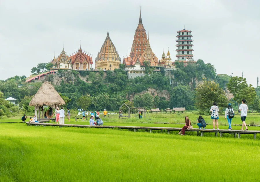 view of rice fields and wat tham suea kanchanaburi